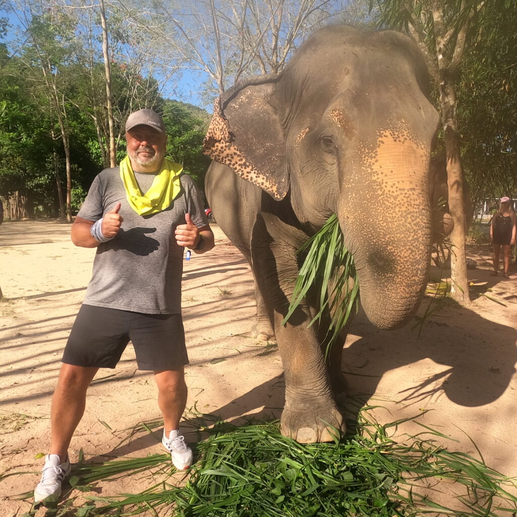Feeding and mud bathing the big guy! 🐘