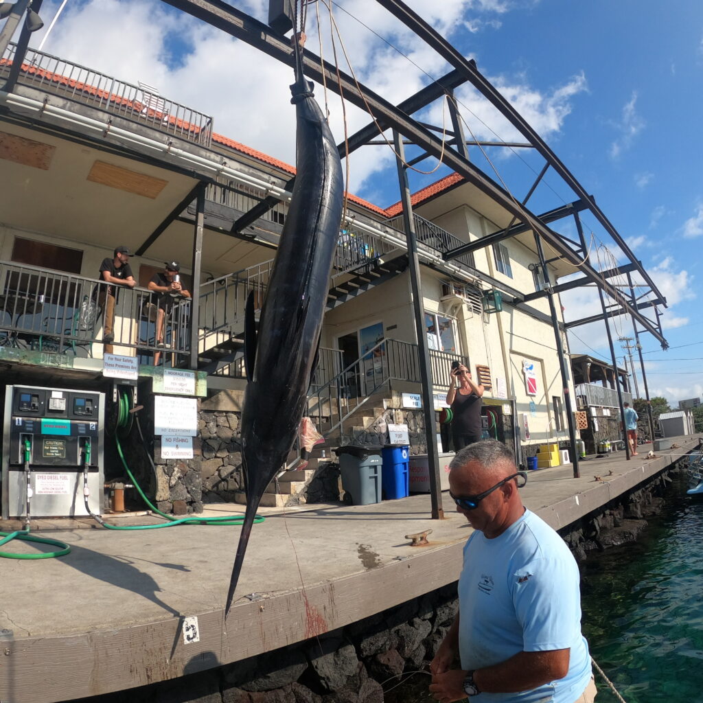 Fishing in Kona, Hawaii! 🎣