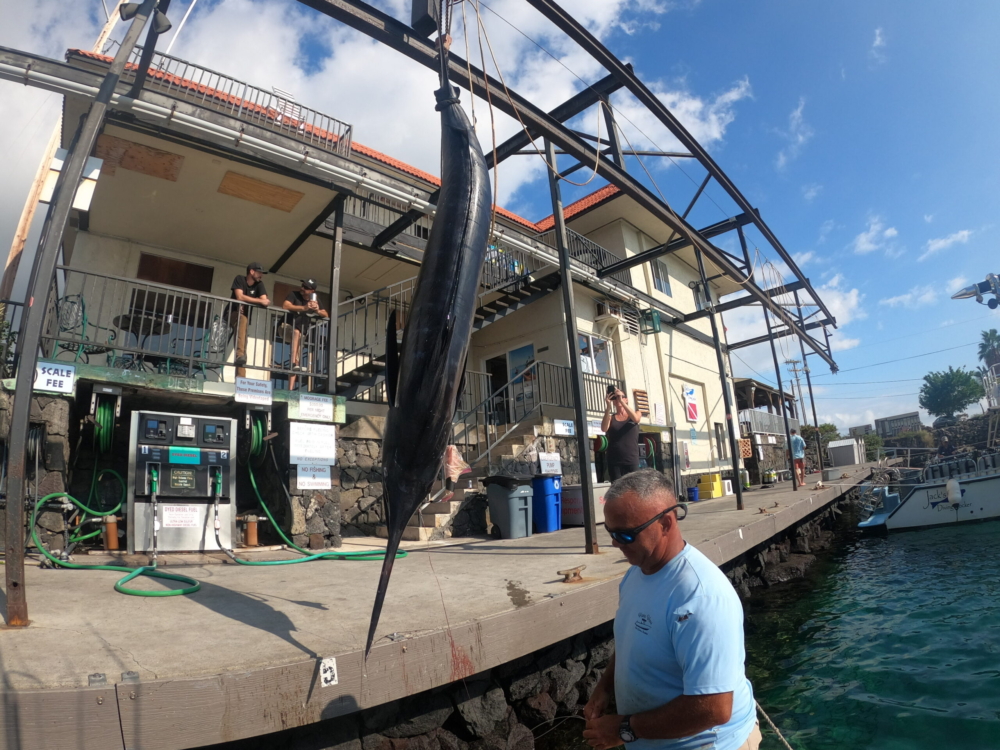 Fishing in Kona, Hawaii! 🎣