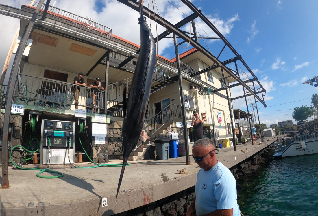 Deep sea fishing in Kona, Hawaii