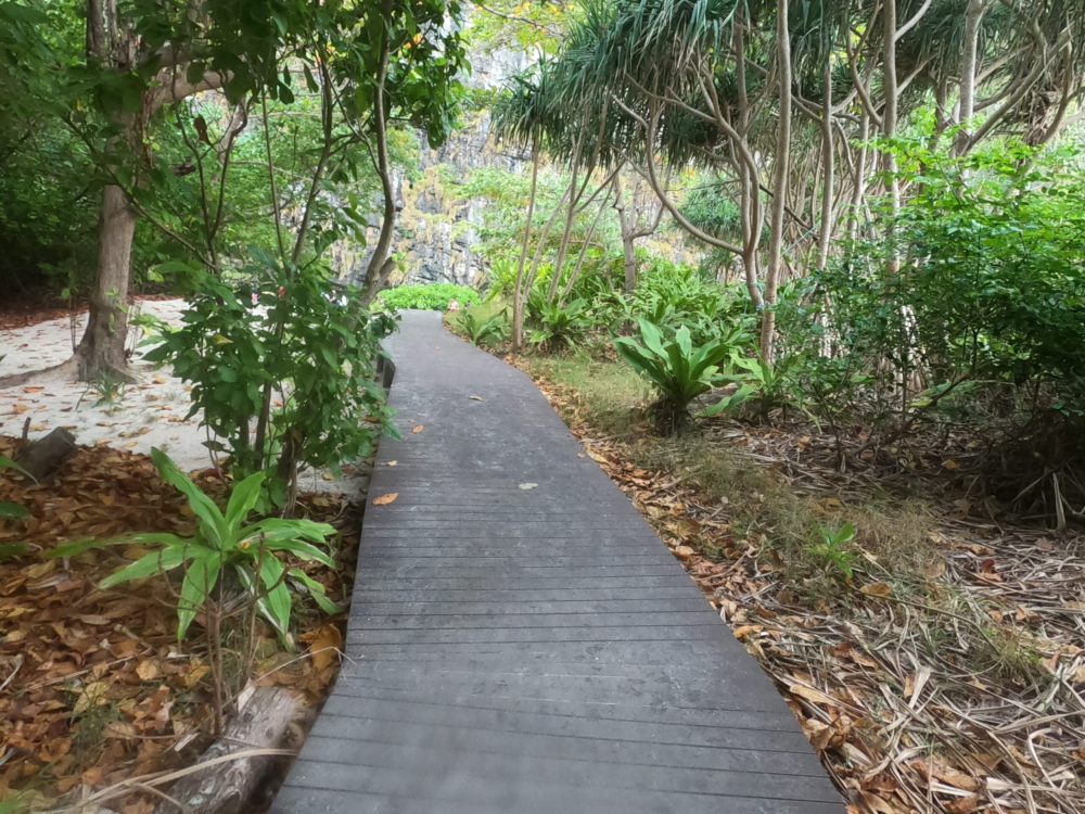 Can you really live on $500 USD a month?