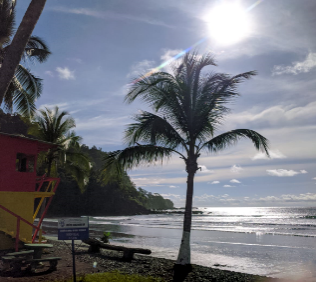 Costa Rican adventures!🐵🦥🌧️🌴🩴