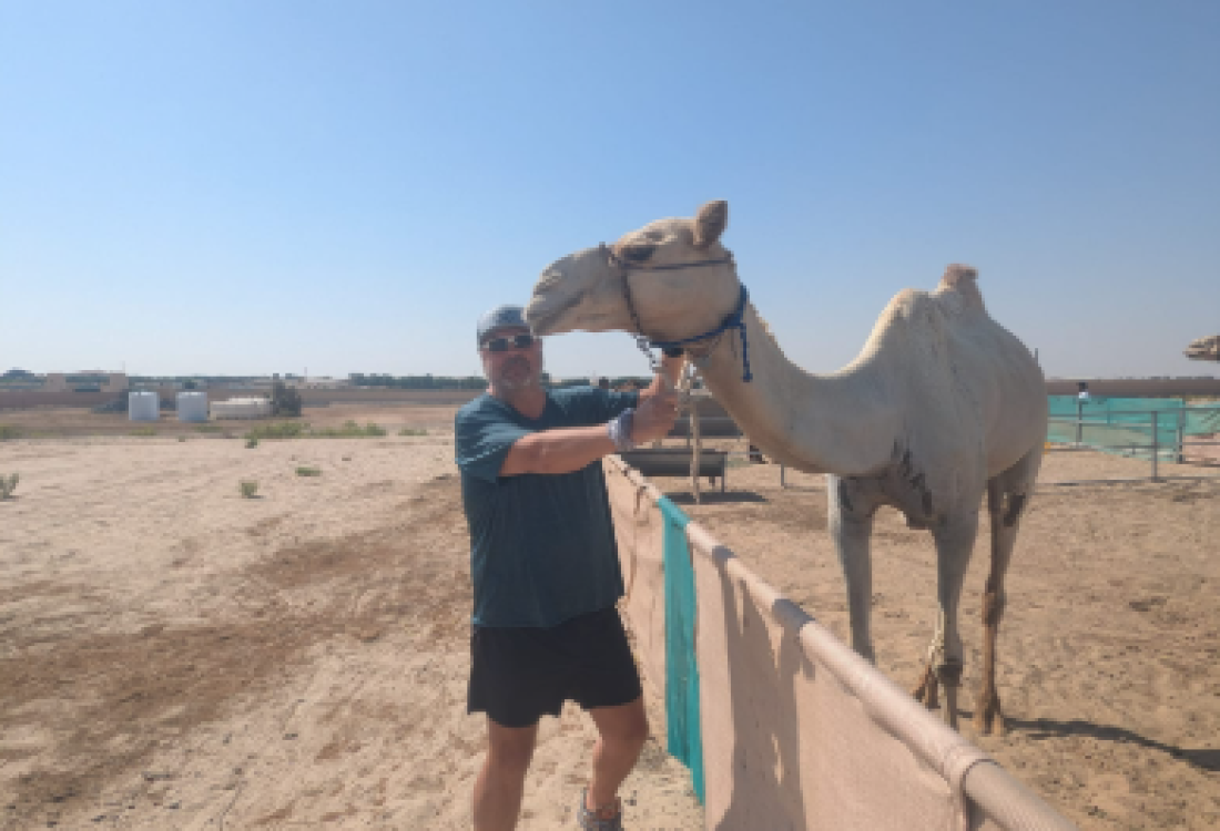 Alice the camel has ... go Alice go!!!