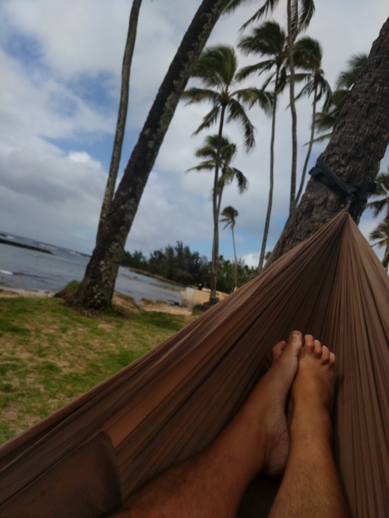 Honolulu, HI - incognito office!