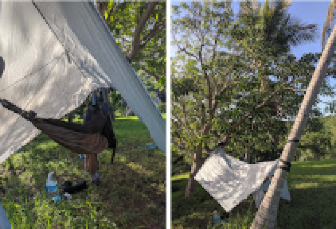Hammock camping!  St Croix BVI