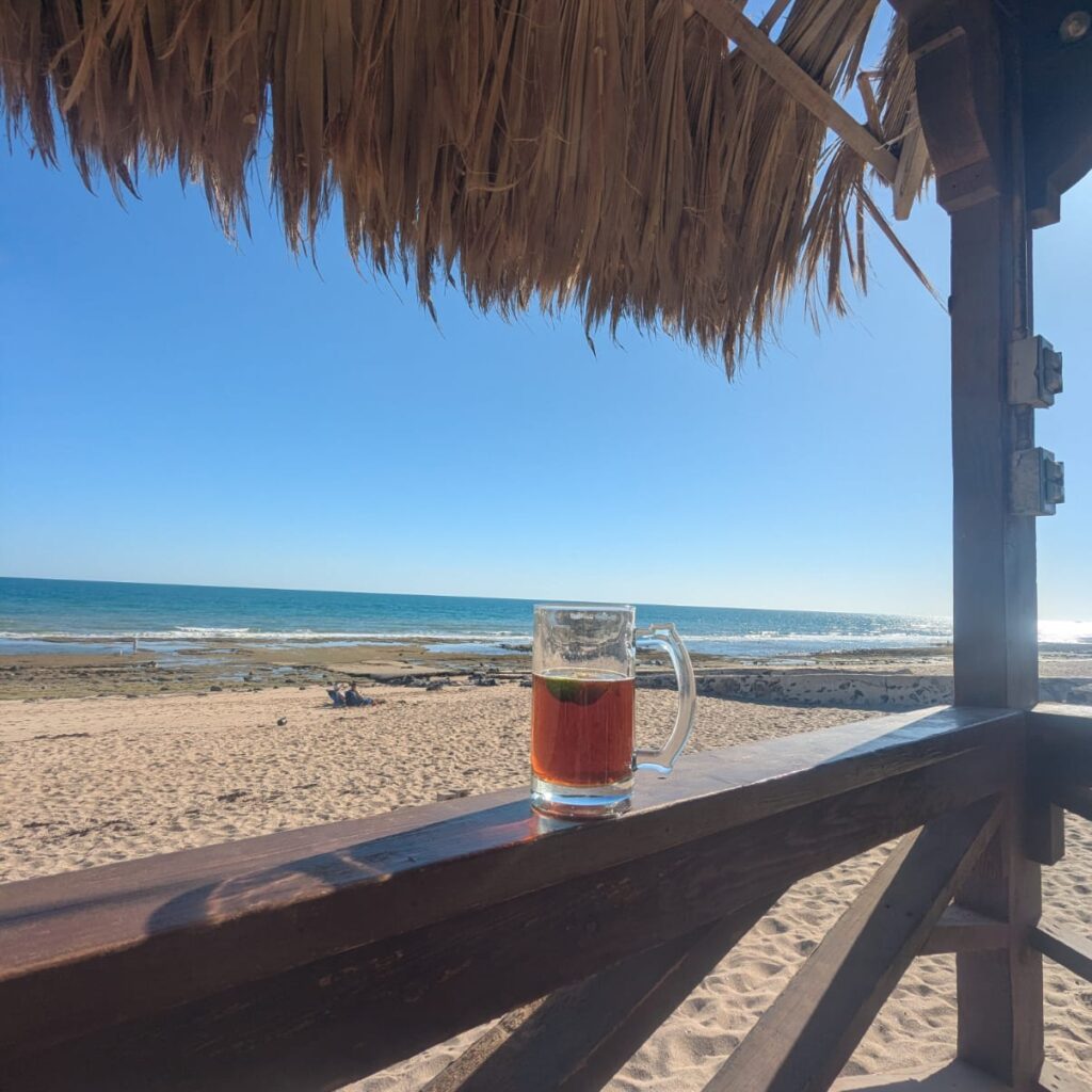 Rocky Point, Mexico   🌮Taco Tuesday🌮