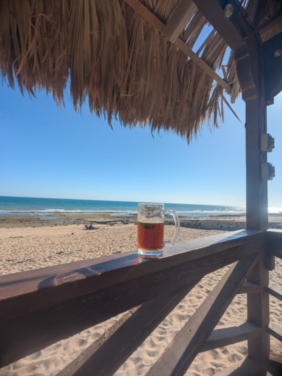 Rocky Point, Mexico   🌮Taco Tuesday🌮