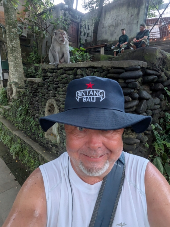 A little bit of monkey business ...🐒