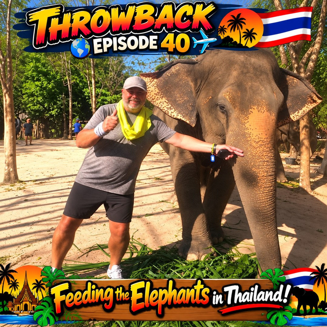 E40elephant_wordpress (1)